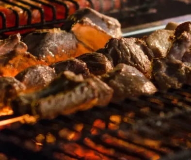 The Turkish Kitchen kabab